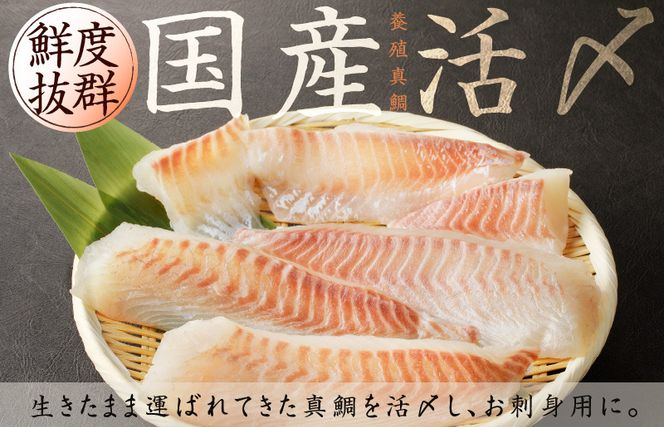 G1113y 【年内発送】国産活〆 養殖 真鯛 お刺身用 450g 便利な小分け 3パック 特別寄附金額