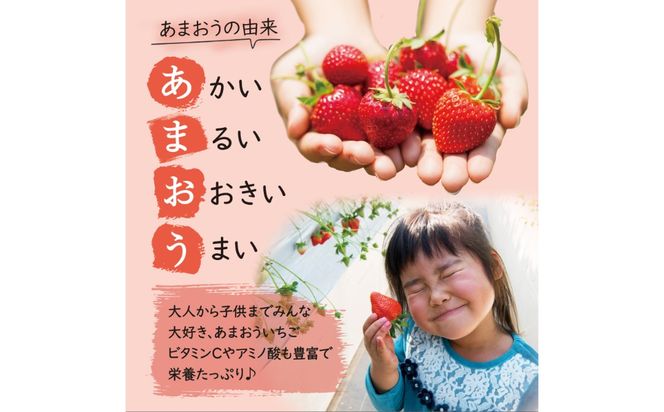 【2026年3月初旬より順次発送】あまおう いちご 1620g（約270g×6パック）《築上町》【株式会社HSP-テクノ】【配送不可地域：北海道・沖縄・離島】 いちご 苺 グランデ等級 果物 イチゴ[ABFG002]