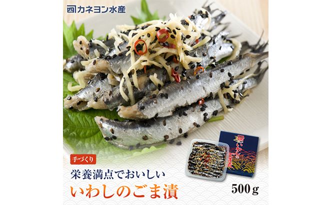 漬魚 いわし コハダ ごま漬 各500g 詰め合わせ セット カネヨン水産 食べ比べ おかず 惣菜 おつまみ 魚介