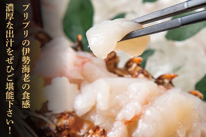 生冷凍 伊勢海老 2尾 1kg 冷凍 国産 伊勢エビ イセエビ いせえび 海老 エビ えび おせち 刺身 焼き物 味噌汁