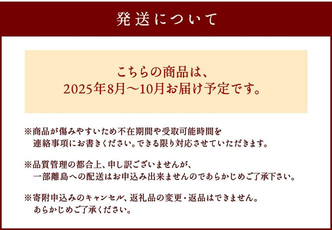 プレミアムいちじく とよみつひめ　1.2kg【JAほたるの里】_HA0278