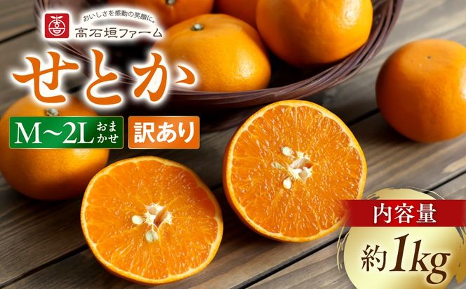 訳あり せとか 1kg M～2Lサイズおまかせ 高石垣ファーム  K011 