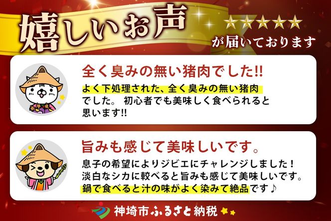 脊振ジビエ イノシシ肉バラエティセット 約1.4kg 【脊振 ロース ばら 肩ロース ミンチ カレー 鍋 セット】(H059118)