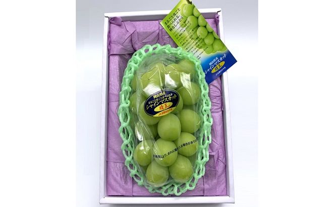 ぶどう 2026年 先行予約 シャイン マスカット 晴王 1房 800g前後 ブドウ 葡萄  岡山県産 国産 フルーツ 果物 ギフト 岡山のブドウ デザート 食べ物 日本産 