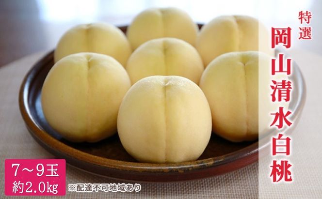 桃 2026年 先行予約 特選 岡山清水白桃 7～9玉 約2kg もも モモ 岡山県産 国産 フルーツ 果物 ギフト