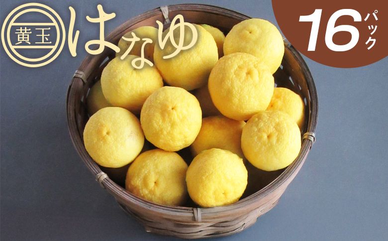 虎弥太郎 はなゆ黄玉 16パック - 国産 ゆず 柚子 ユズ 花柚子 柑橘 香酸柑橘 果物 花皮果汁 フルーツ 果実 料理 酒 ハイボール 焼酎 アレンジ 焼き魚 小分け hy-0004