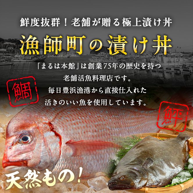 特製出汁醤油で漬け込んだ漬け丼5種セット10食分(各90g)