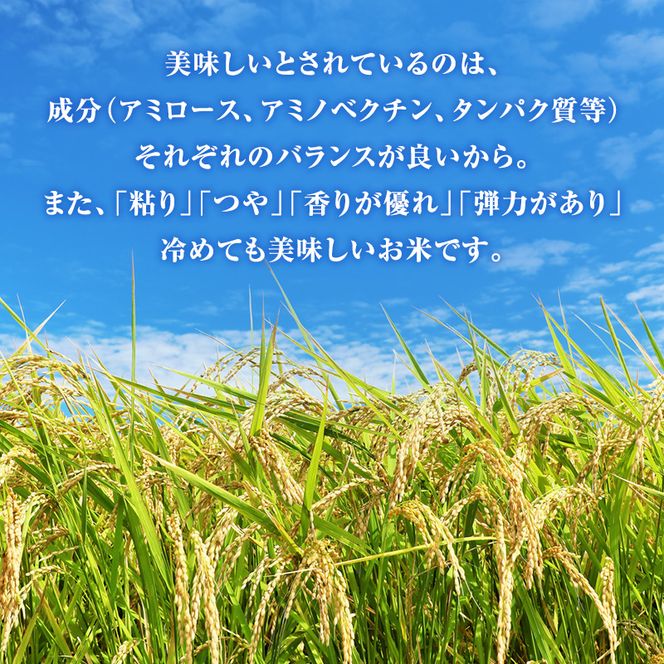 令和8年産 特別栽培米 コシヒカリ 白米 3kg 静岡県産 色彩選別済 食に意識高い方へオススメ