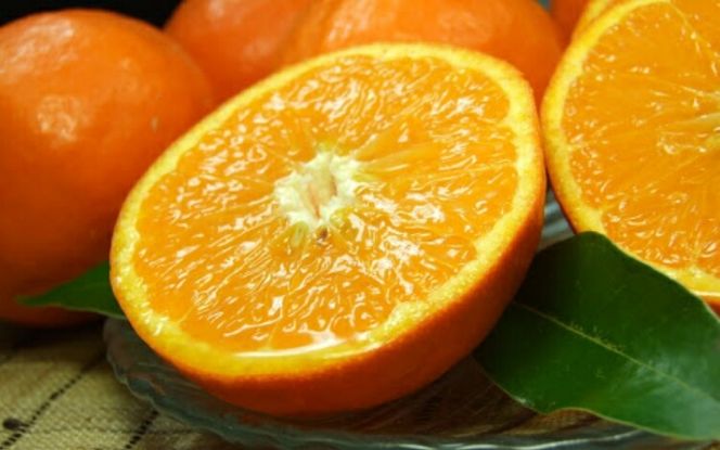 セミノールオレンジ 約5kg/サイズおまかせ　※2027年4月中旬～2027年5月下旬頃に順次発送予定(お届け日指定不可)　紀伊国屋文左衛門本舗　【ntbt481B】