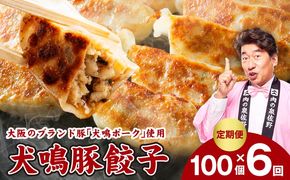 G5385 【泉佐野ブランド豚】犬鳴豚餃子 100個×6回【国産 豚肉 ぶたにく 定期便 犬鳴ポーク 焼くだけ 人気 総菜 冷凍】
