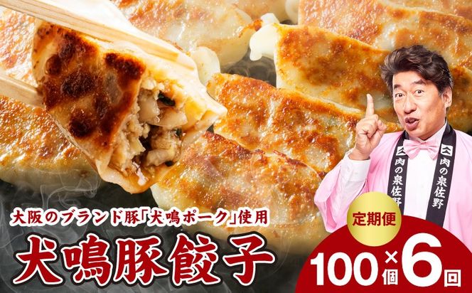 G5385 【泉佐野ブランド豚】犬鳴豚餃子 100個×6回【国産 豚肉 ぶたにく 定期便 犬鳴ポーク 焼くだけ 人気 総菜 冷凍】