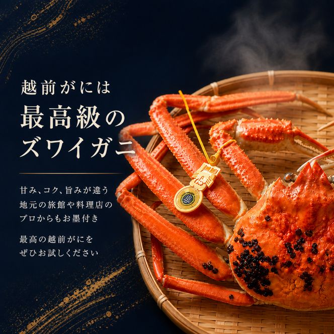 茹で越前ガニ【年末お届け】食通もうなる本場の味をぜひ、ご堪能ください。約900g 2尾セット 越前がに 越前かに 越前カニ カニ ボイルガニ 蟹 