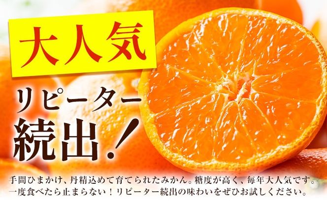 【CF】＜先行予約＞ 熟成みかん『極旨』1箱 廣畠農園《2月初旬-2月末頃出荷予定》徳島県 佐那河内村 みかん ミカン 蜜柑 柑橘 箱入り 化粧箱 フルーツ 果物 くだもの 贈答 【配送不可地域あり】※離島---sanagouchi_hhn_3_1hk---