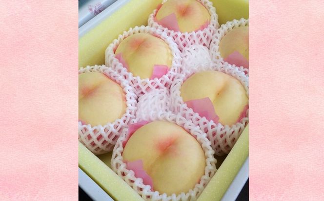 【桃 2026年 先行予約】贈答用 清水白桃 約2kg(5～7玉) もも モモ 岡山県 国産 フルーツ 果物