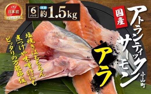 日本初 完全陸上養殖 静岡県小山町産 アトランティックサーモン 冷凍 アラ6パック 約1.5kg
