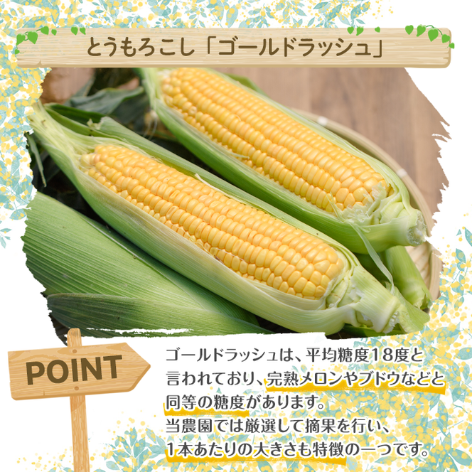 ＜先行予約受付中！2026年5月下旬以降順次発送予定＞厳選摘果！とうもろこし(15本・品種・ゴールドラッシュ) 国産 旬 野菜 青果 トウモロコシ 厳選 高糖度 冷蔵 期間限定 数量限定 【春田幸一】akn082-01