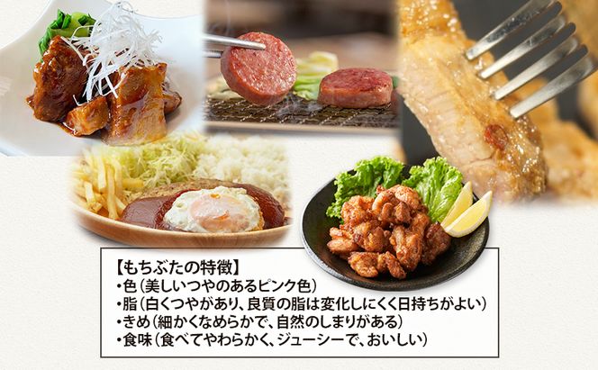 【5ヵ月定期便】全5回 和豚もちぶた 惣菜5種 角煮 ボロニアソーセージ 2種 味噌塩糀漬け ハンバーグ から揚げ 夕飯 時短 小分け 簡単 レンチン  レトルト 和豚 豚肉 ポーク 肉 豚 アウトドア お弁当 もちぶた館 大河原町