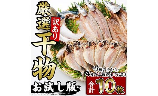 ＜訳あり＞ 厳選 干物 お試し版 (総量10枚) 簡単 調理 干物 あじ かます さば ぶり ぶりかま 開き 魚 海鮮 冷凍 詰め合わせ 大分県 佐伯市 やまろ渡邉【DL33】【鶴見食賓館】