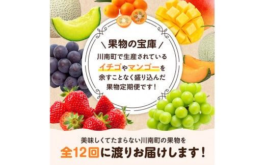 y{茧쒬zy 12 z  v~A fbNX  y 쒬Y  񂩂  n }S[ Ԃǂ sI[l VC }XJbg   z[D11718t12]