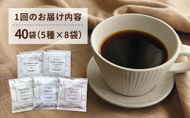 【全6回定期便】コーヒー ドリップ バッグ 40個 セット ( 5種類 × 8個 ) 糸島市 / COFFEE UNIDOS [AQF019] 珈琲 カフェ コーヒー粉