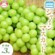 【2026年12月～発送】冷蔵貯蔵 シャインマスカット 4～6房 約3kg ぶどう ブドウ 葡萄 マスカット 果物 フルーツ 長野県 長野 山ノ内町