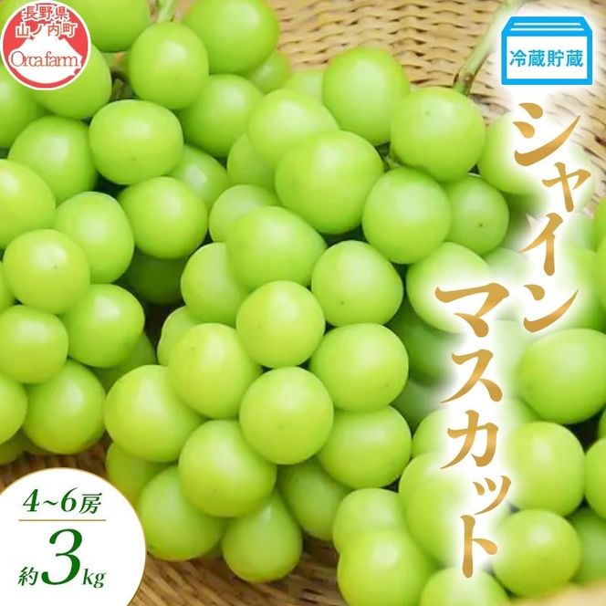 【2026年12月～発送】冷蔵貯蔵 シャインマスカット 4～6房 約3kg ぶどう ブドウ 葡萄 マスカット 果物 フルーツ 長野県 長野 山ノ内町