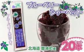 北海道 豊浦町 ブルーベリーシャーベット 20本 【 ふるさと納税 人気 おすすめ ランキング 果物 ブルーベリー 国産ブルーベリー ブルーベリーシャーベット 大容量 おいしい 美味しい 甘い 北海道 豊浦町 送料無料 】TYUN012