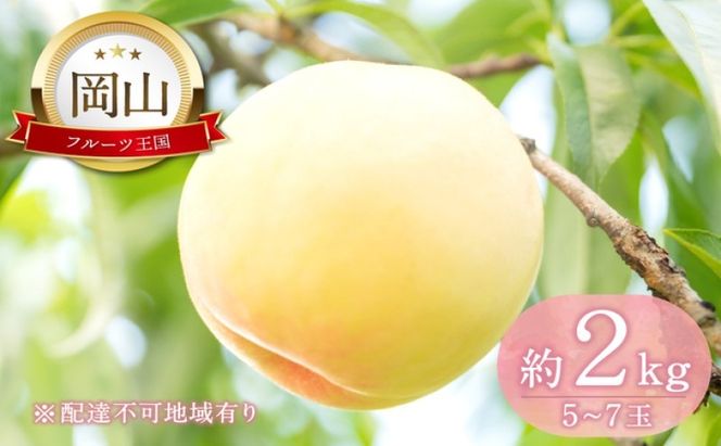 桃 【2026年 先行予約】 晴れの国 おかやま の 白桃 2kg(5玉～7玉) もも モモ 岡山県産 国産 フルーツ 果物 ギフト [№5735-2129]