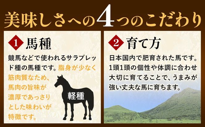 馬肉 カット済み 国産 馬刺し 約 120g 40g × 3個 道の駅竜北《60日以内に出荷予定(土日祝除く)》 熊本県 氷川町 送料無料 肉 馬肉 赤身---sh_fyeskbs_24_60d_14000_120g---