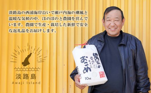 【定期便6ヶ月】名手農園の淡路島産コシヒカリ 10kg　[精米 白米]