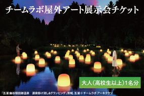 チームラボ屋外アート展示会チケット大人（高校生以上）1名分(CJ105)