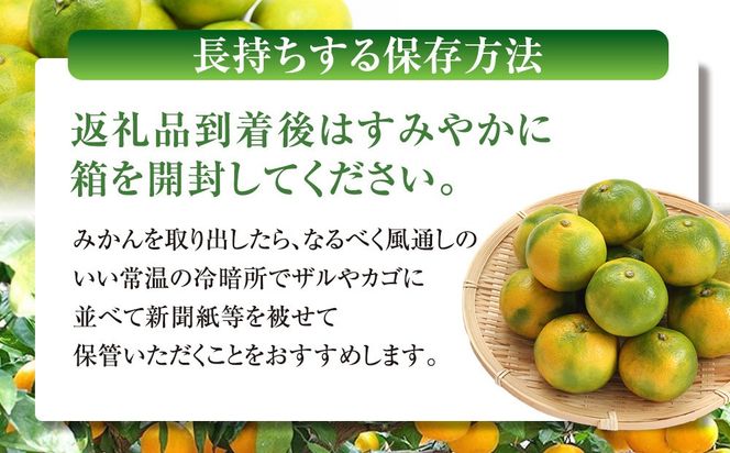有田みかん専門店 有田の太陽®ファミリー 極早生 有田みかん 2.5kg＋補償分100g 山採れ・サイズ・等級 混合 FH01
