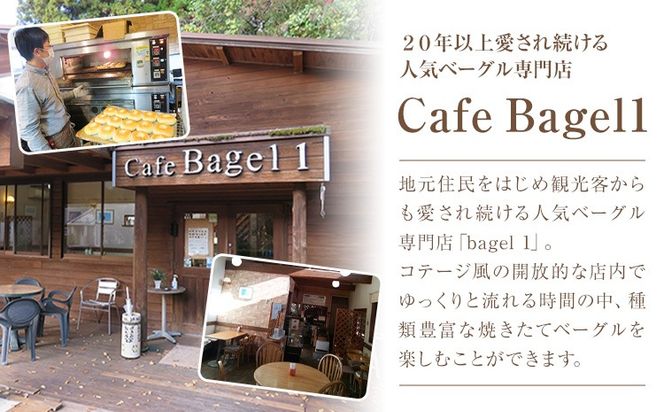 阿蘇の天然水使用 ベーグルセット 7種 10個入 ベーグル・ワン《30日以内に出荷予定(土日祝除く)》熊本県 南阿蘇村 ベーグル パン おやつ 送料無料---sms_fbg1bgset_30d_r7_10500_10p---