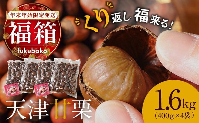 【福箱★2026】【くり返し福来る！】 年末年始限定発送 この道50年の職人が焼く､やさしい甘みたっぷり！｢天津甘栗｣1.6kg H045-067