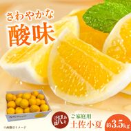 【先行予約】＜白木果樹園＞ 土佐小夏 訳ありご家庭用 約3.5kg 3.5キロ〈2027年5月下旬～2027年6月下旬頃発送〉  / こなつ 柑橘 かんきつ 柑橘類 フルーツ 日向夏 ニューサマーオレンジ 西内小夏 果物【白木果樹園】 [BQAI033]