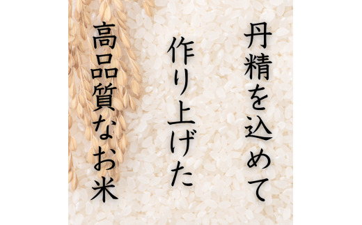 和歌山県産 キヌヒカリ 5kg(2024年産) 産地直送 米 こめ ご飯 ごはん 【sml101A】