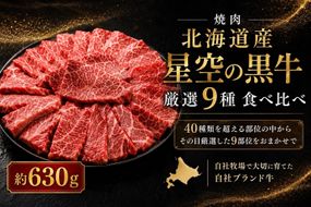 焼肉 北海道産 星空の黒牛 厳選9種 食べ比べ 約630g 牛肉 【 肉 にく ニク 牛肉 牛肉赤身 赤身 牛肉セット バーベキュー 冷凍牛肉 贅沢牛肉 国産牛肉 北海道産牛肉 道産牛肉 簡単 お手軽 特製牛肉 標茶町 北海道 】 016641_AD005