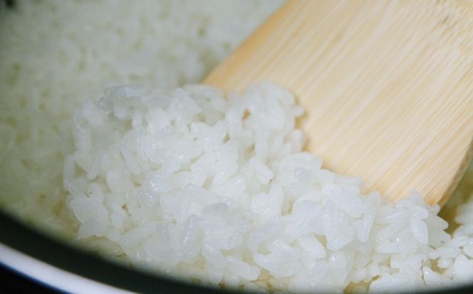 【先行予約】2025年産 有機栽培 コシヒカリ 紀生(きりゅう) ＼容量が選べる！／ 【2025年9月下旬～順次発送】米 こめ お米 おこめ コシヒカリ こしひかり 精米 白米 ご飯 国産 美味しい おいしい ふっくら 新鮮 数量限定 三重県 紀宝町【rnm001-002】