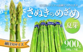 アスパラガス【さぬきのめざめ】夏芽Mサイズ900g グリーンアスパラガス 野菜 柔らかい シャキシャキ 旬の野菜 国産 食材 