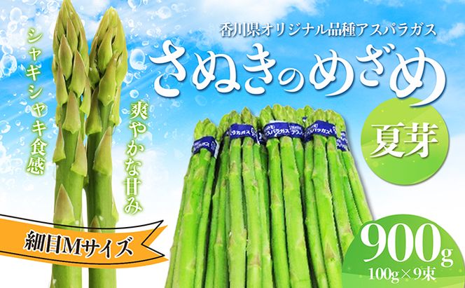 アスパラガス【さぬきのめざめ】夏芽Mサイズ900g グリーンアスパラガス 野菜 柔らかい シャキシャキ 旬の野菜 国産 食材 