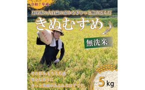 令和7年 原田農園きぬむすめ無洗米5kg 313726_CG005