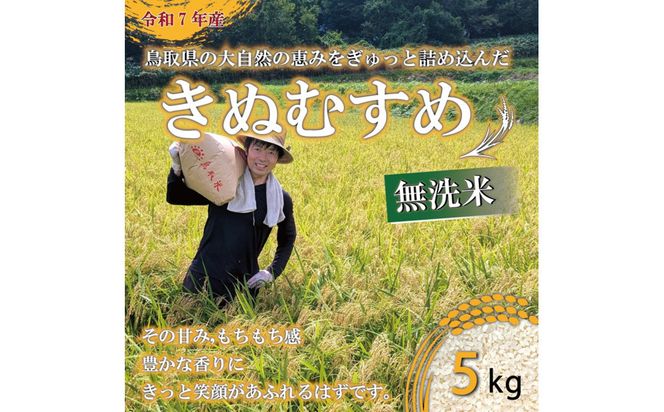 令和7年 原田農園きぬむすめ無洗米5kg 313726_CG005