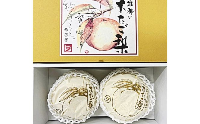 梨 2026年 先行予約 あたご梨 2玉（約1.7kg） 化粧箱入り なし ナシ 岡山県産 国産 フルーツ 果物 ギフト 
