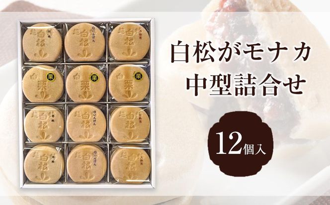 白松がモナカ 中型詰合せ 12個入【モナカ 和菓子 詰め合わせ 仙台銘菓 白松がモナカ 中型詰合せ ふるさと納税 仙台市 名物菓子】 041009_AR001