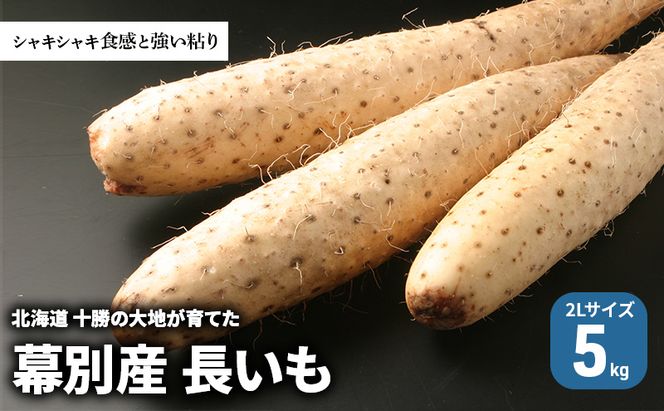 北海道 十勝の大地が育てたシャキシャキ食感と強い粘り 幕別産 長いも 2Lサイズ 5kg［木川商店］【 長いも 長芋 ながいも ナガイモ とろろ 芋 いも 野菜 10kg 5kg  産地直送 旬 濃厚 北海道 十勝 幕別 】