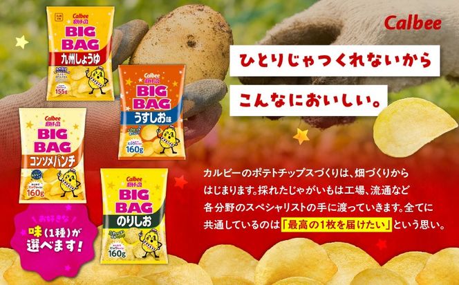 yszIׂIJr[|eg`bvXiBIGBAGj12 @K194-002_b