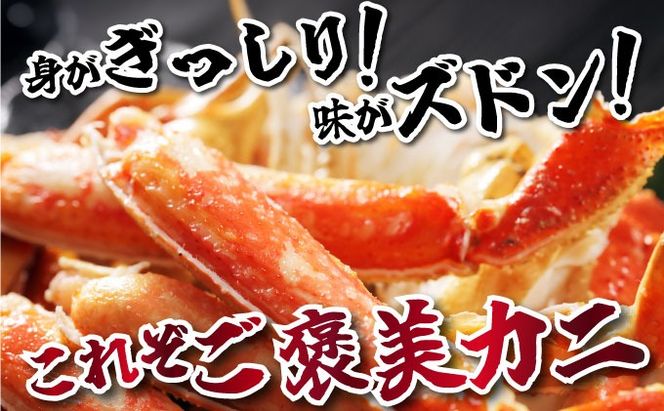 オオズワイ姿（訳あり品）5kg｜かに カニ ズワイガニ オオズワイ【ysk-003】