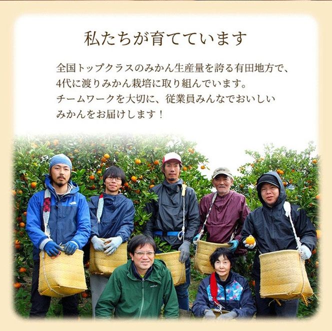 家庭用 完熟 有田みかん2.5kg+250g（傷み補償分）サイズ混合