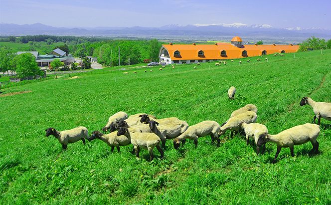 松尾めん羊牧場産　ラムムートン フリース1匹物