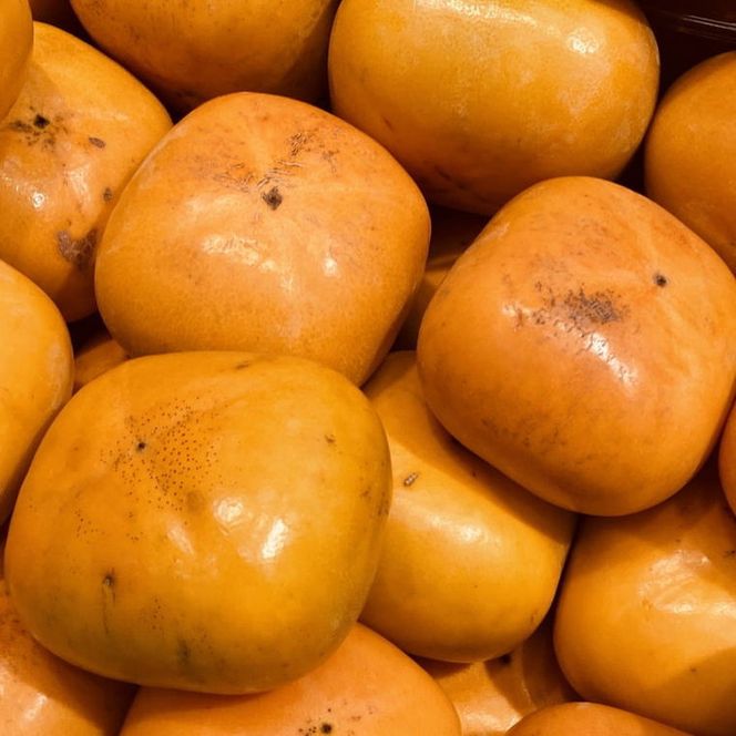 【先行予約】和歌山産 貯蔵たねなし柿 化粧箱入り（6玉～8玉入り）